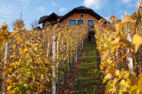 Отель Vineyard Cottage Bregac  Шмарьешке Топлице